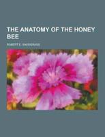 The Anatomy of the Honey Bee