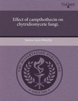 Effect of Campthothecin On Chytridiomycete Fungi