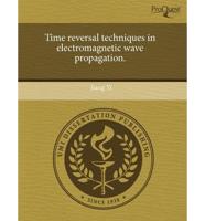 Time Reversal Techniques in Electromagnetic Wave Propagation.