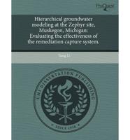 Hierarchical Groundwater Modeling at the Zephyr Site, Muskegon, Michigan