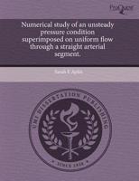 Numerical Study of an Unsteady Pressure Condition Superimposed on Uniform F