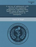 Survey of Adolescents With Planned and Unplanned Pregnancies Regarding Thei