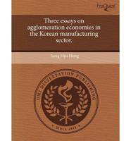 Three Essays on Agglomeration Economies in the Korean Manufacturing Sector.