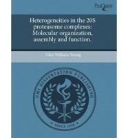 Heterogeneities in the 20s Proteasome Complexes