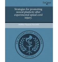 Strategies for Promoting Neural Plasticity After Experimental Spinal Cord I
