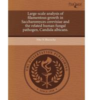 Large-Scale Analysis of Filamentous Growth in Saccharomyces Cerevisiae And