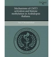 Mechanisms of Cmt3 Activation and Histone Methylation in Arabidopsis Thalia