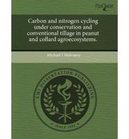 Carbon and Nitrogen Cycling Under Conservation and Conventional Tillage In