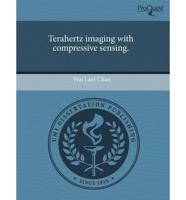 Terahertz Imaging With Compressive Sensing