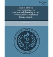 Studies of Vocal Communications in Cooperatively Breeding Acorn Woodpeckers