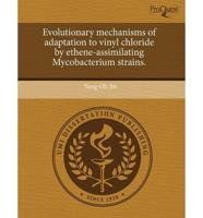 Evolutionary Mechanisms of Adaptation to Vinyl Chloride by Ethene-Assimilat