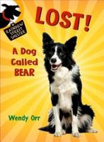 Lost! A Dog Called Bear
