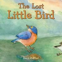The Lost Little Bird