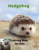 Hedgehog Coloring Book for Kids
