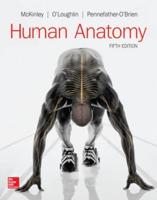 Human Anatomy