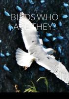 Birds, who are they?: A first look