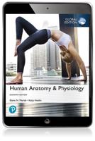 Human Anatomy & Physiology, Global Edition Pearson eText