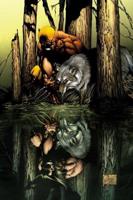 Wolverine by Daniel Way Volume 1