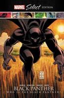 Who Is the Black Panther?
