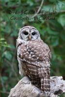 Birding Guide to Forsyth County, North Carolina