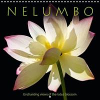 N E L U M B O - Enchanting Views of the Lotus Blossom