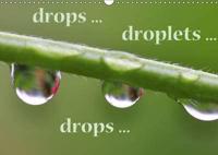 Drops ... Droplets ... Drops ...