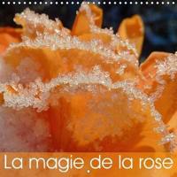 Magie De La Rose