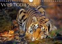 Wild Tigers 2015