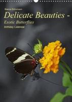 Delicate Beauties - Exotic Butterflies