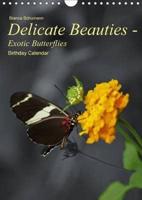 Delicate Beauties - Exotic Butterflies