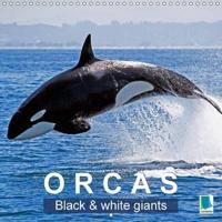 Orcas: Black and White Giants