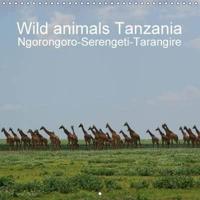 Wild Animals Tanzania