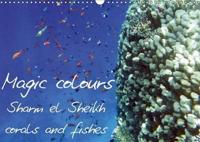 Magic Colours Sharm El Sheikh Corals and Fishes