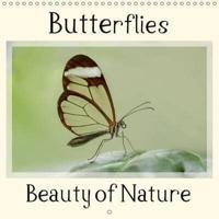 Butterflies Beauty of Nature