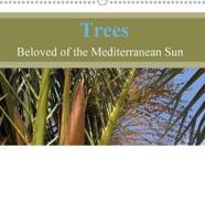 Trees, Beloved of the Mediterranean Sun