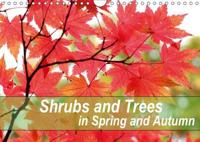 Shrubs and Trees in Spring and Autumn