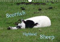 Scottish Highland Sheep (UK Version) 2016