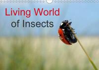 Living World of Insects / UK-Version / Birthday Calendar