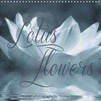 Lotus Flowers