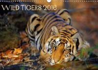 Wild Tigers 2016