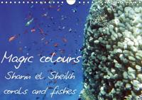 Magic Colours Sharm El Sheikh Corals and Fishes