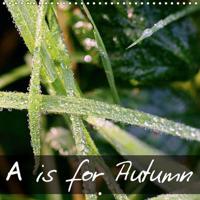Is for Autumn