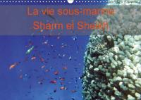Vie Sous-Marine Sharm El Sheikh