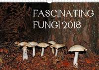Fascinating Fungi 2016