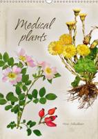 Medical Plants 2016