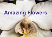 Amazing Flowers 2016