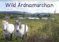 Wild Ardnamurchan 2016