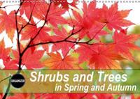 Shrubs and Trees in Spring and Autumn 2016