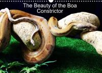 Beauty of the Boa Constrictors 2016