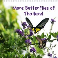 More Butterflies of Thailand 2017